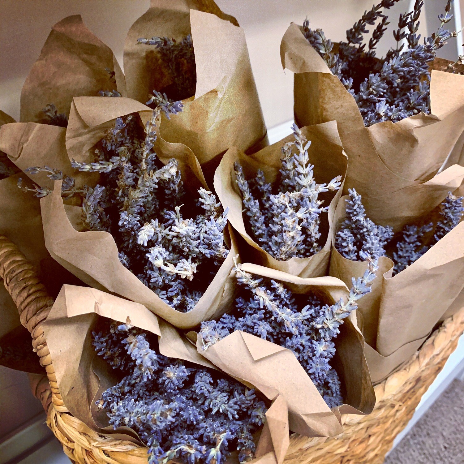 Dried Lavender Bundle