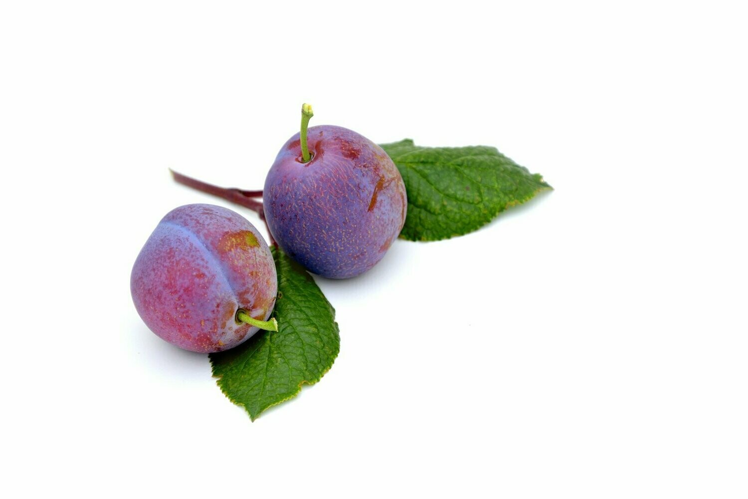 6 Plums