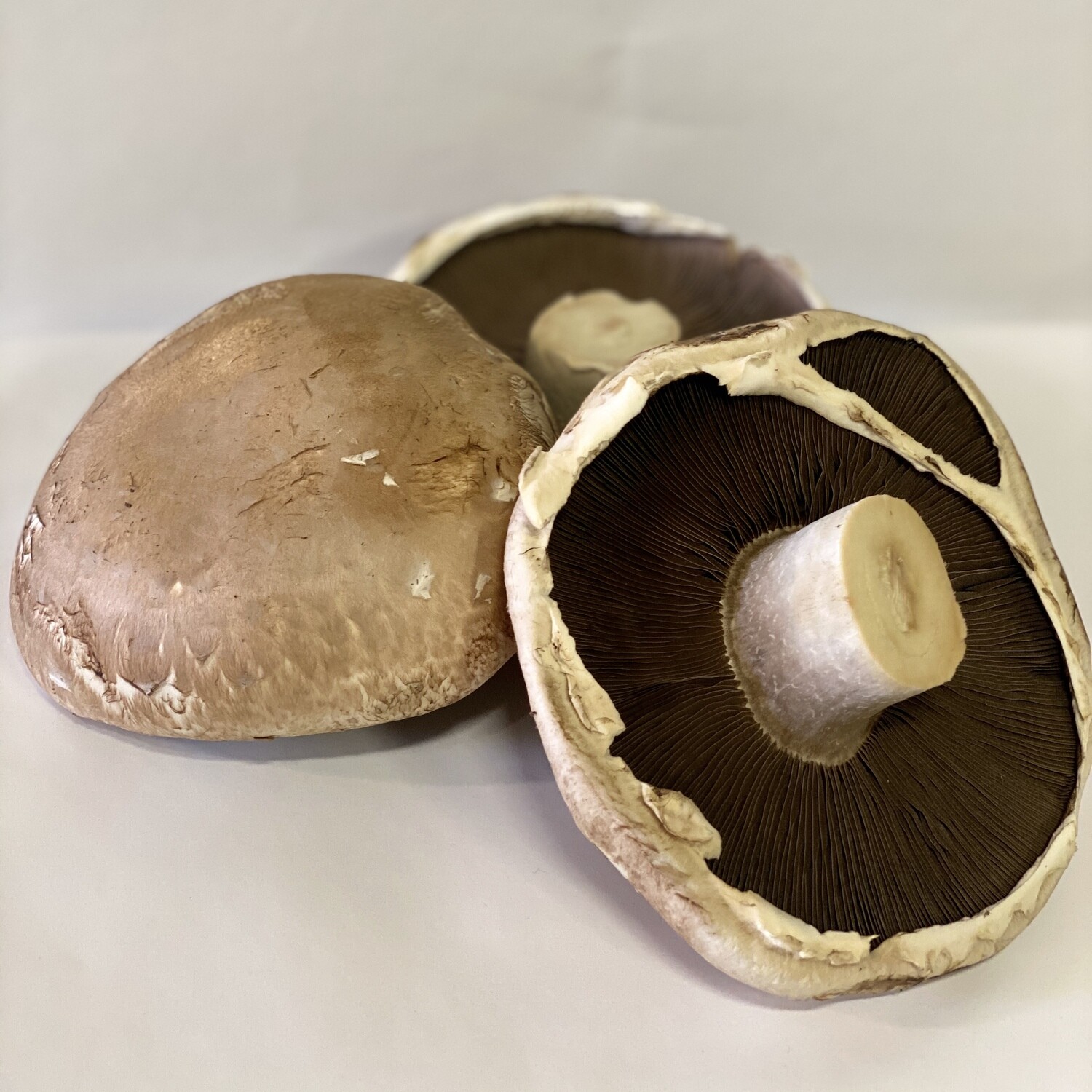 MUSHROOM BROWN SWISS