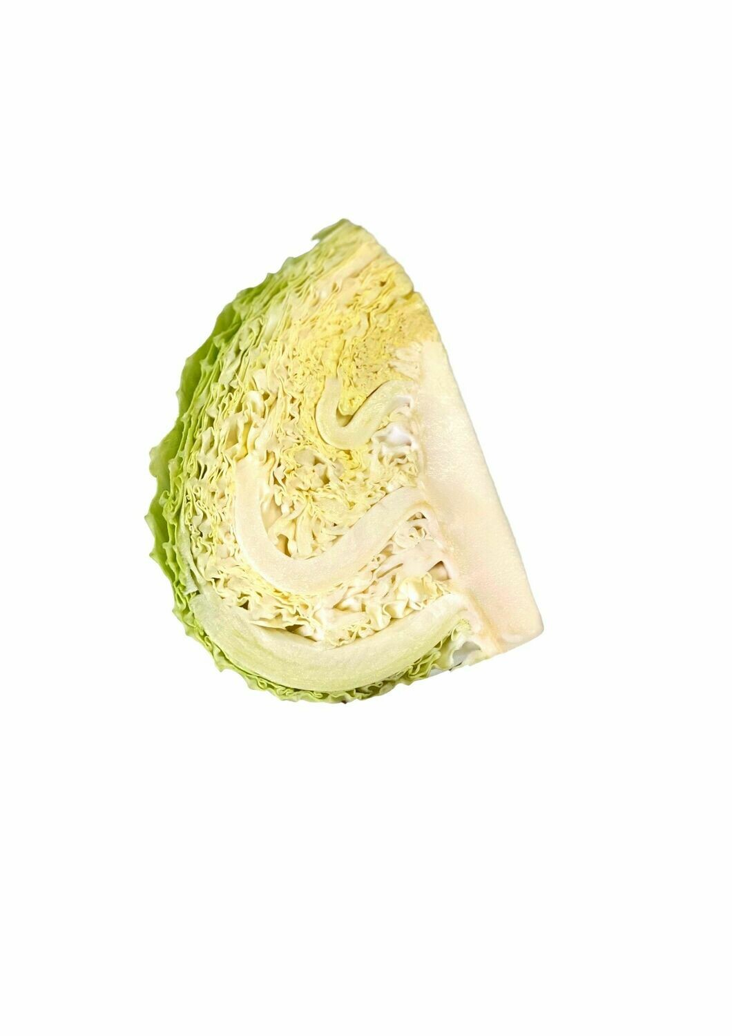 CABBAGE SAVOY (QUARTER)