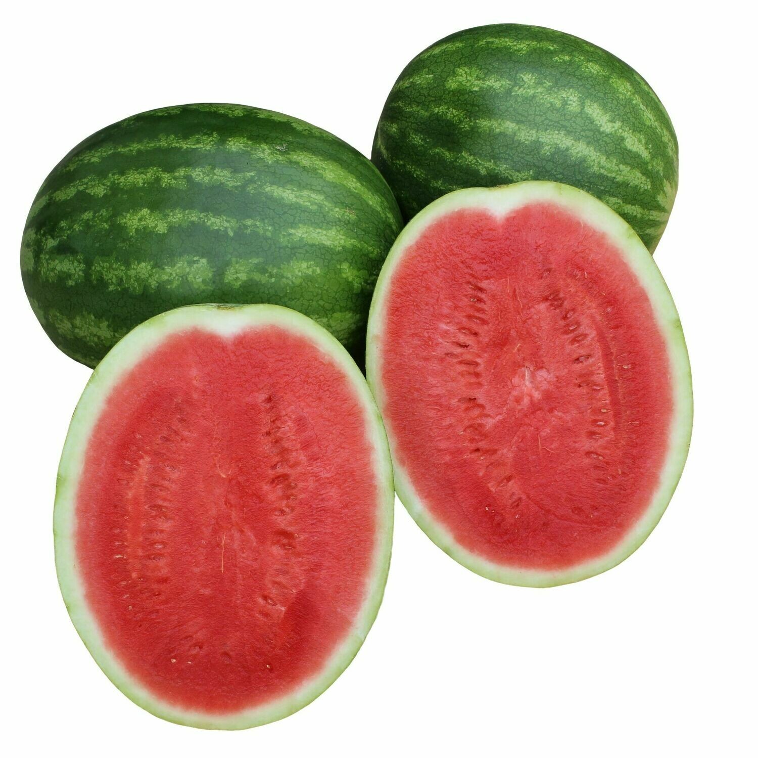 WATERMELON SEEDLESS WHOLE (EACH)