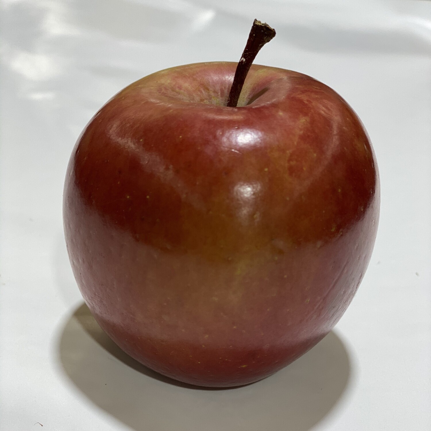 APPLE FUJI (EACH)