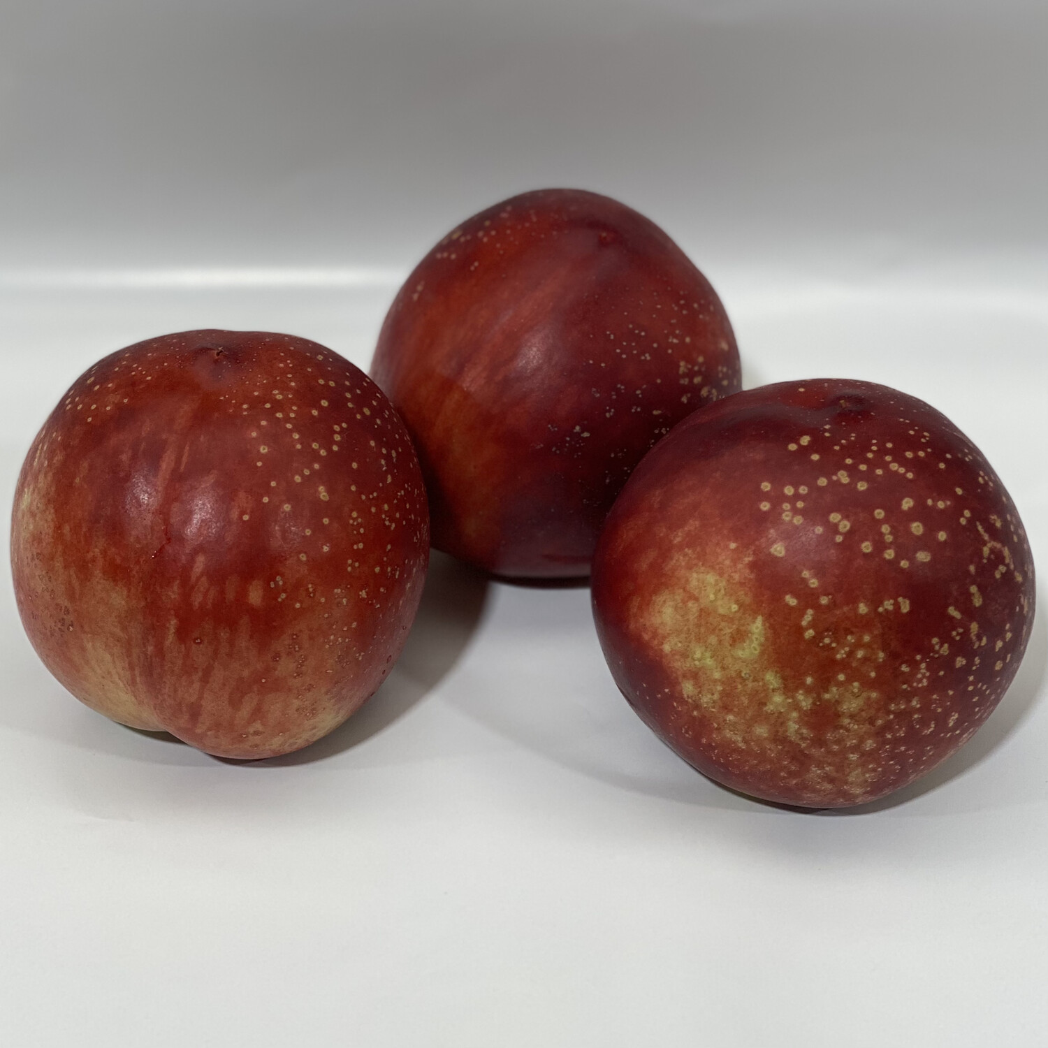 NECTARINES (WHITE)