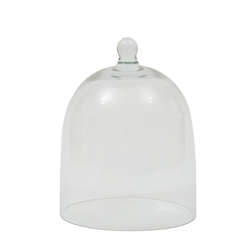 Glass Cloche with Handle Small
