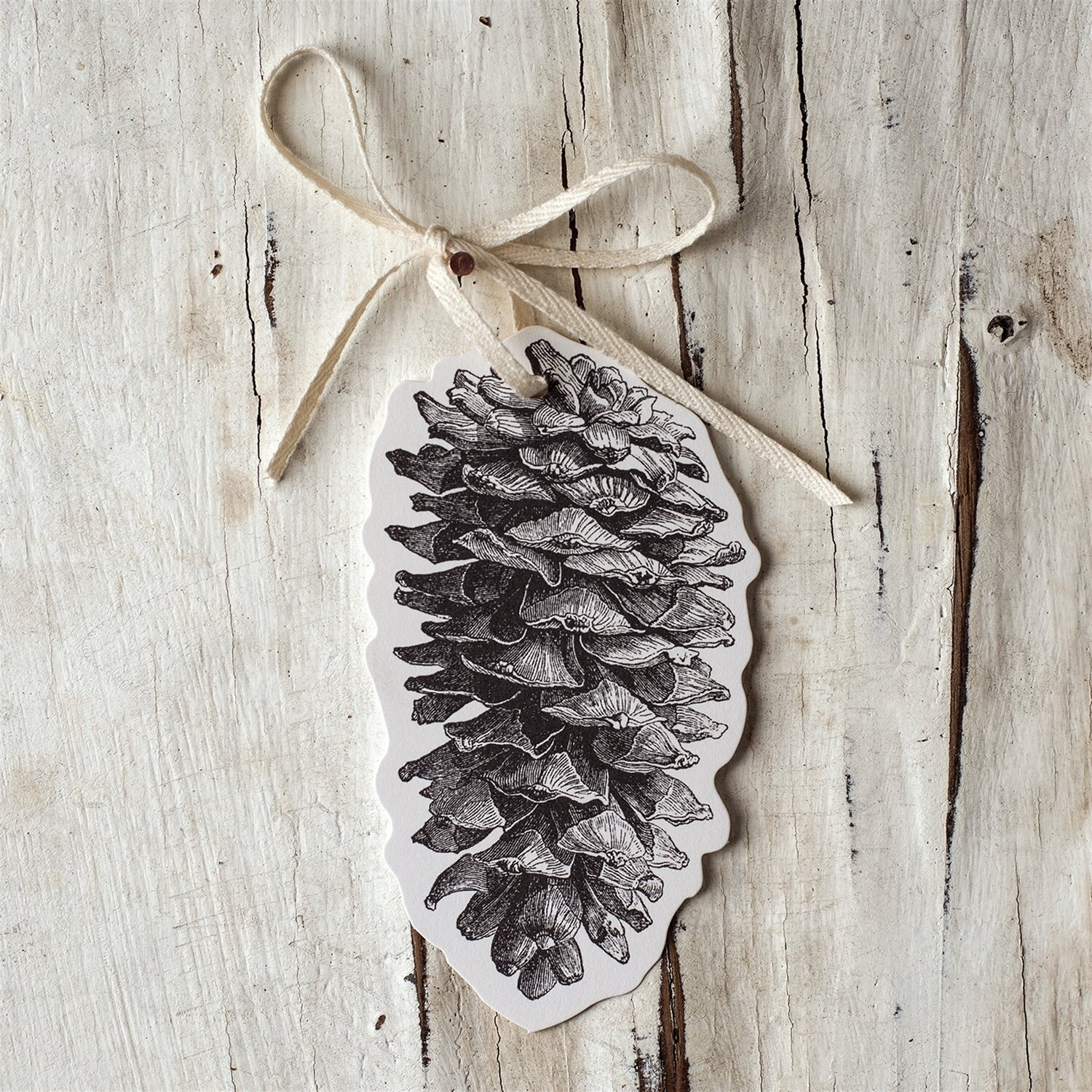 Pine Cone Gift Tags