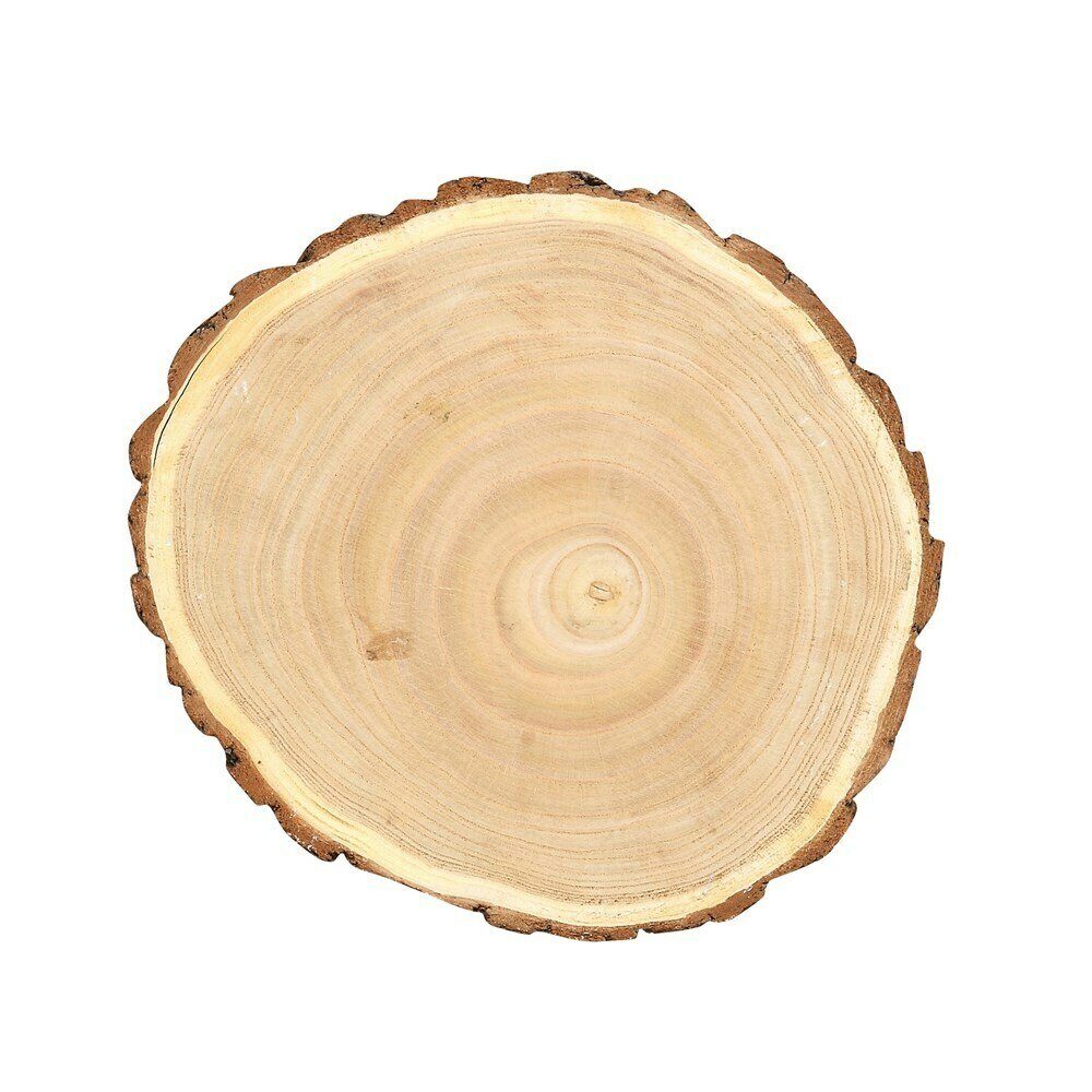 Round Chinaberry Wood Slice