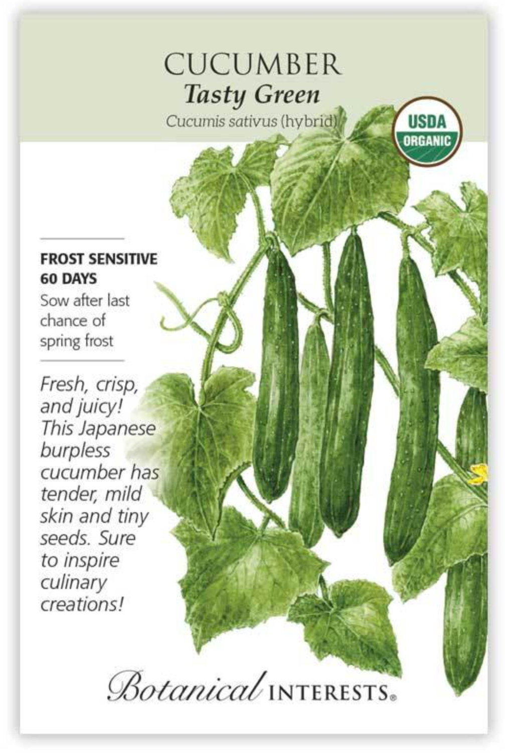 BI Cucumber Japanese Tasty Green Org - Store - The Plant Foundry.