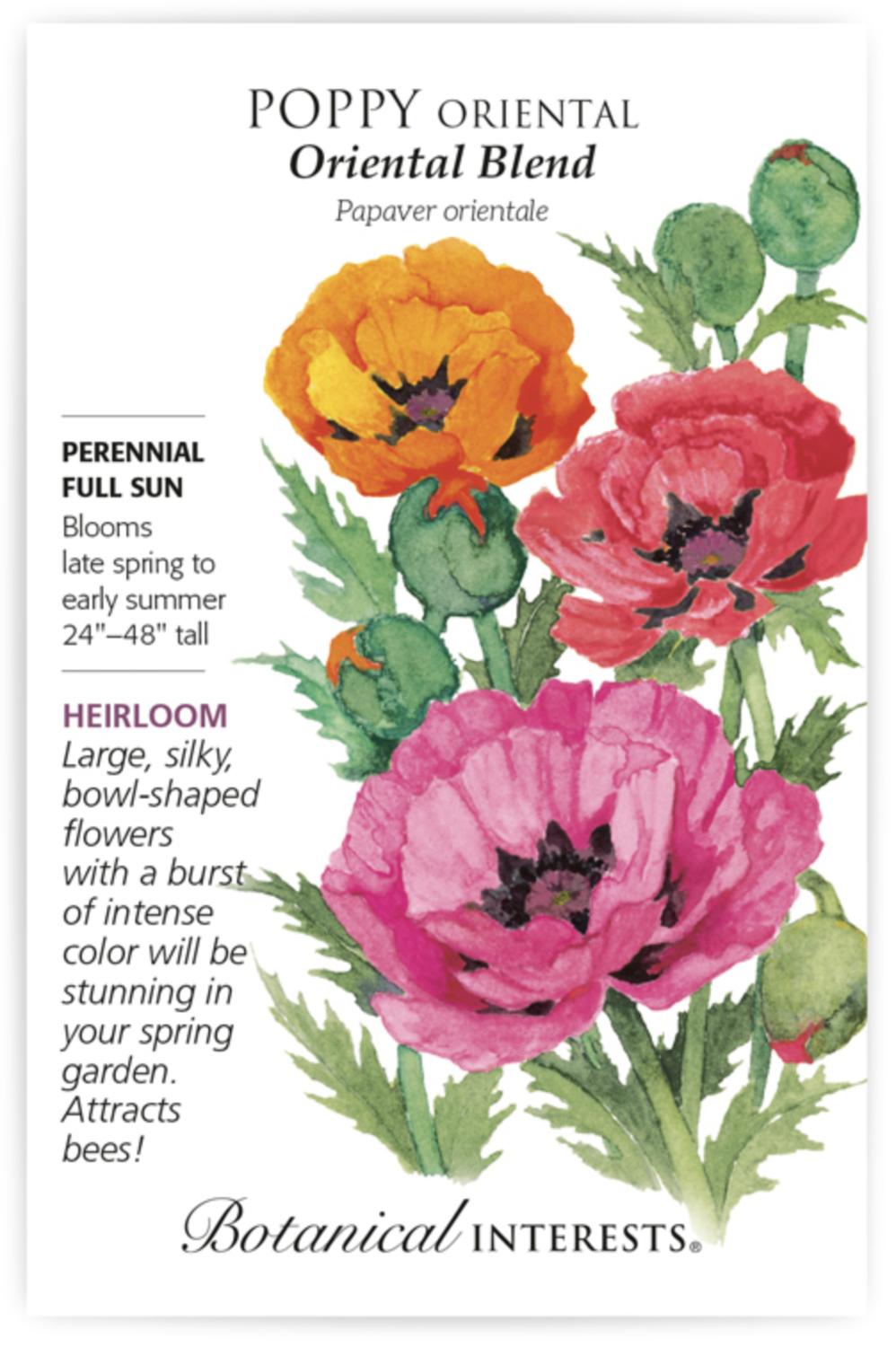 переключение языка на клавиатуре макбука. что означают маки на языке цветов. доклад о маке. как изменить язык на мак. как поменять язык в маке клавиши.