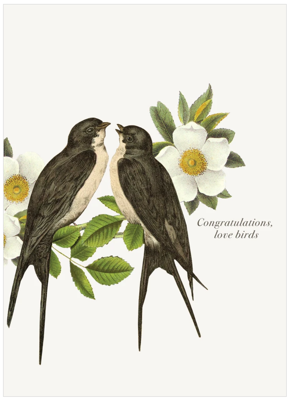 PFD Congratulations Love Birds 5 7 Card With Glitter CG CLB Store 
