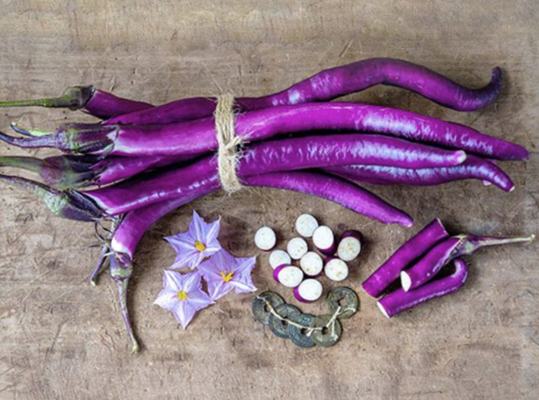 Baker Creek Eggplant Chinese String Store The Plant Foundry