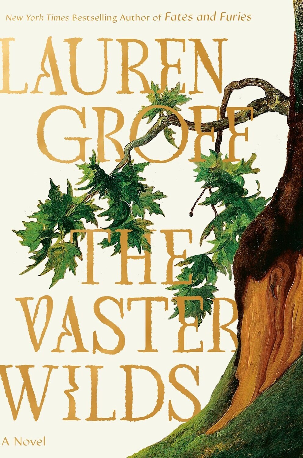 The Vaster Wilds   by Lauren Groff