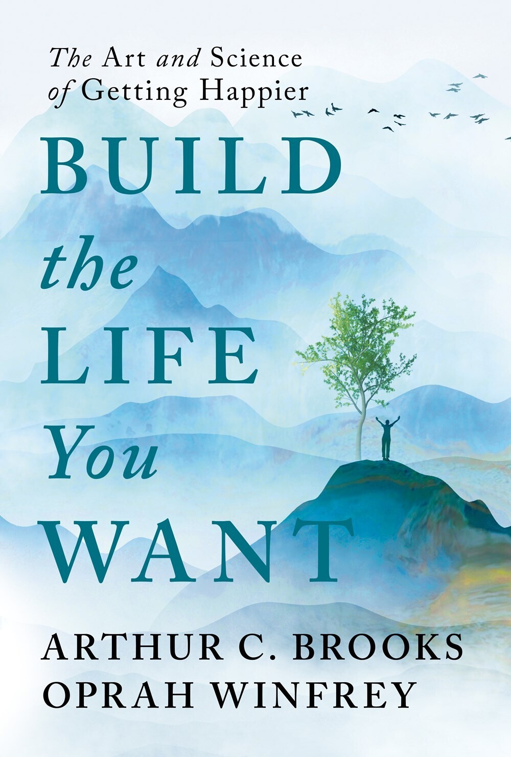 Build the Life You Want  by Brooks &amp; Winfrey