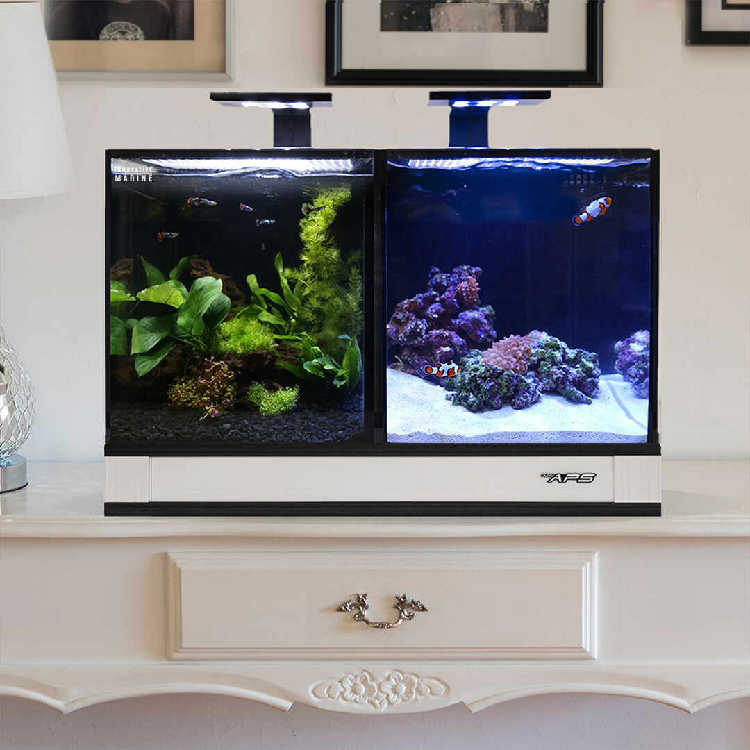 Acrylic Aquarium Anti-Jumping Lid Cover With Hole