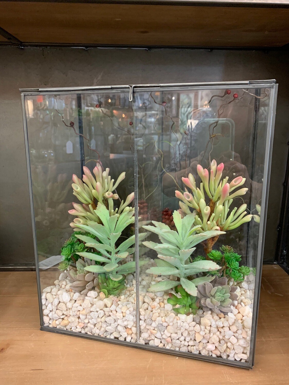 Large Slanted Top Glass & Metal Terrarium