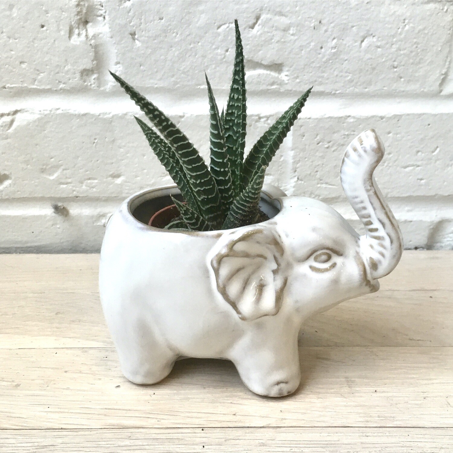 Glazed Elephant Pot