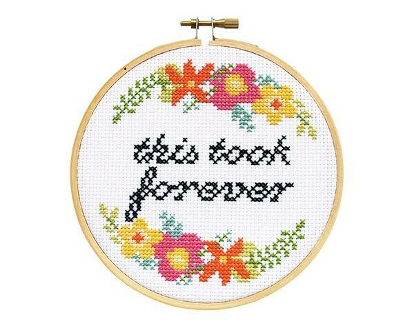 Cross Stitch Kit This took forever