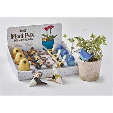 Plant Pet Assortment 