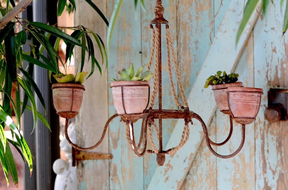 Five Planter Chandelier 