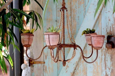 Five Planter Chandelier 