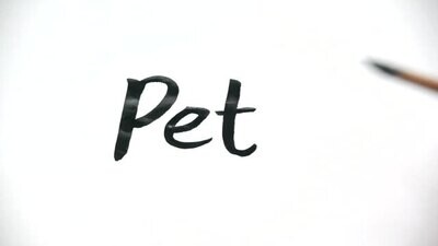 Pet