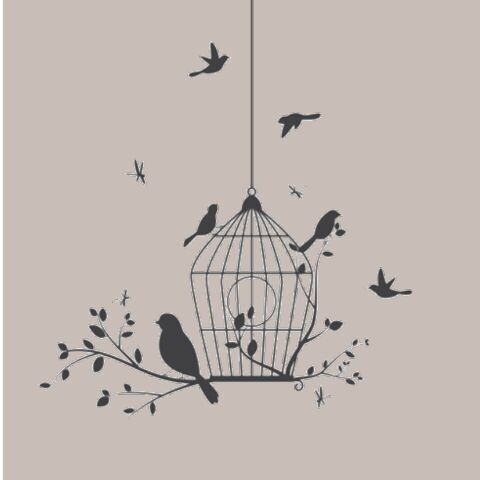 Birdcage Euroscrubby