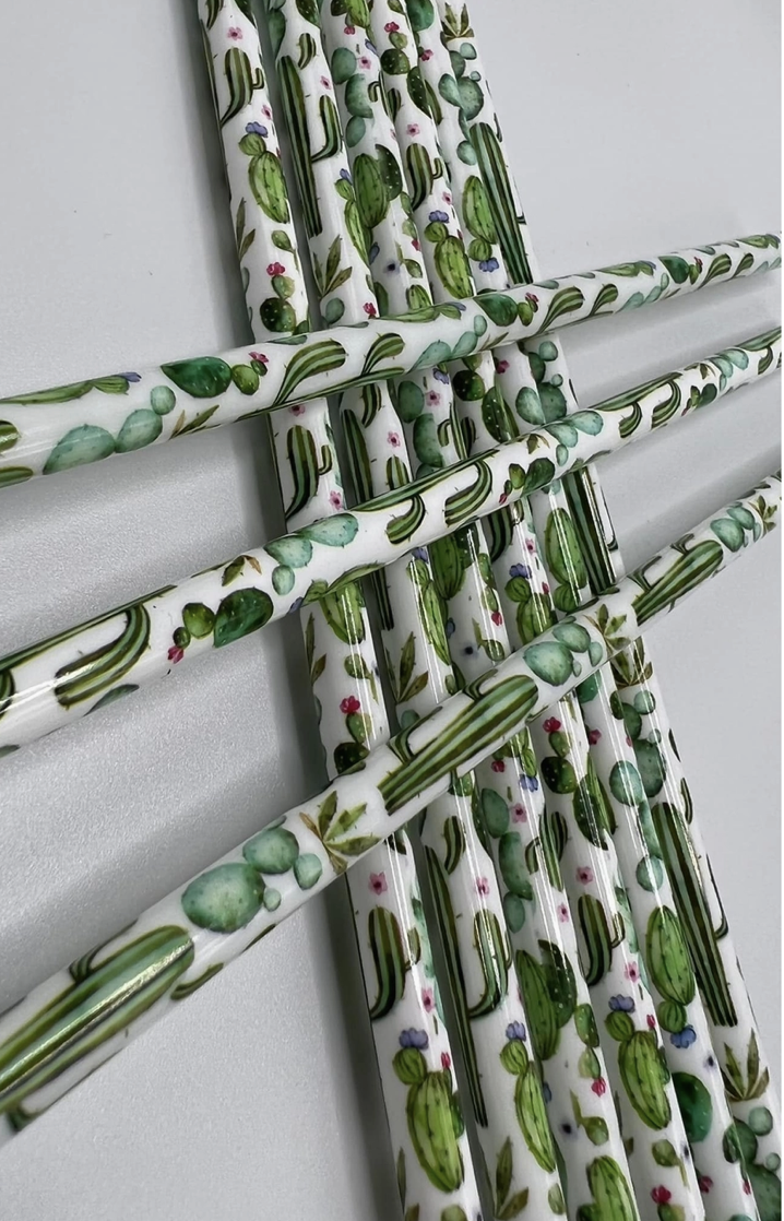 Cactus Reusable Straw