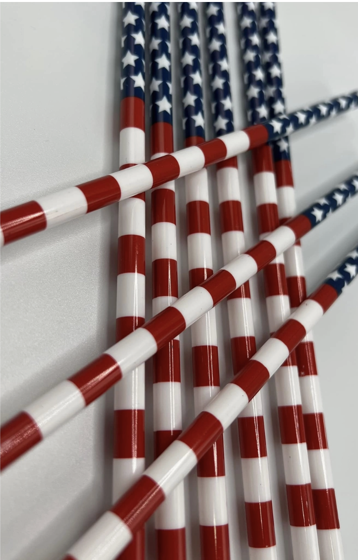 American Flag Reusable Straw