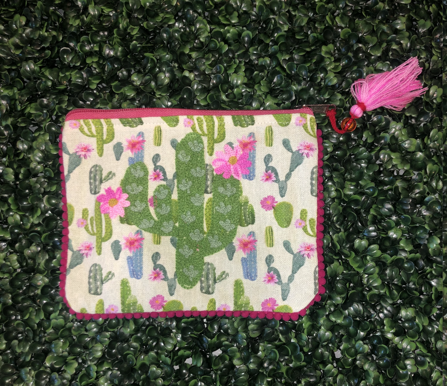 Cactus Pouch