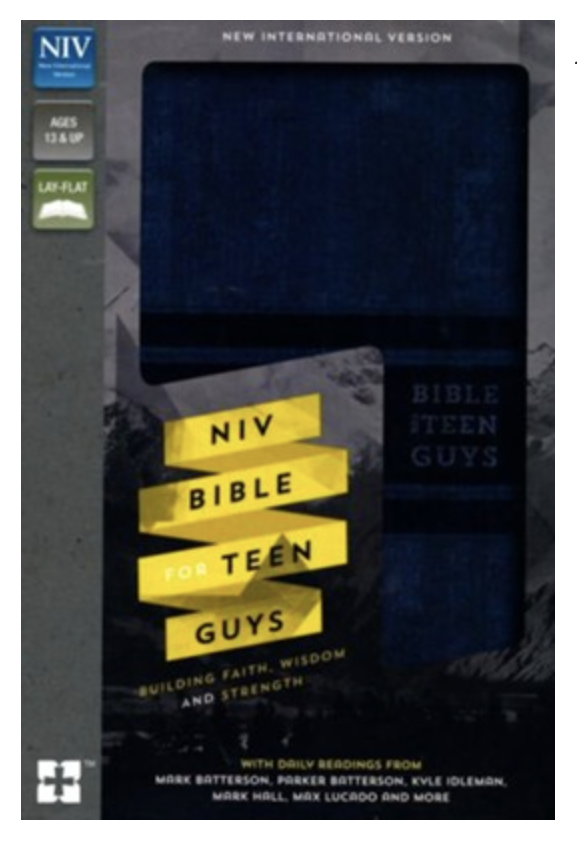 NIV Bible for Teen Boys