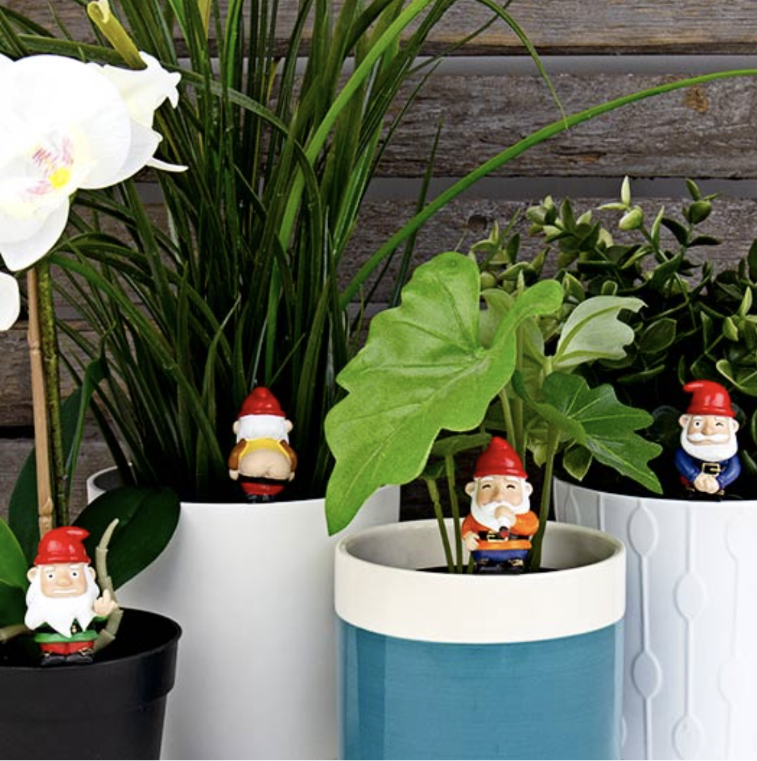 Mini Plant Gnomes