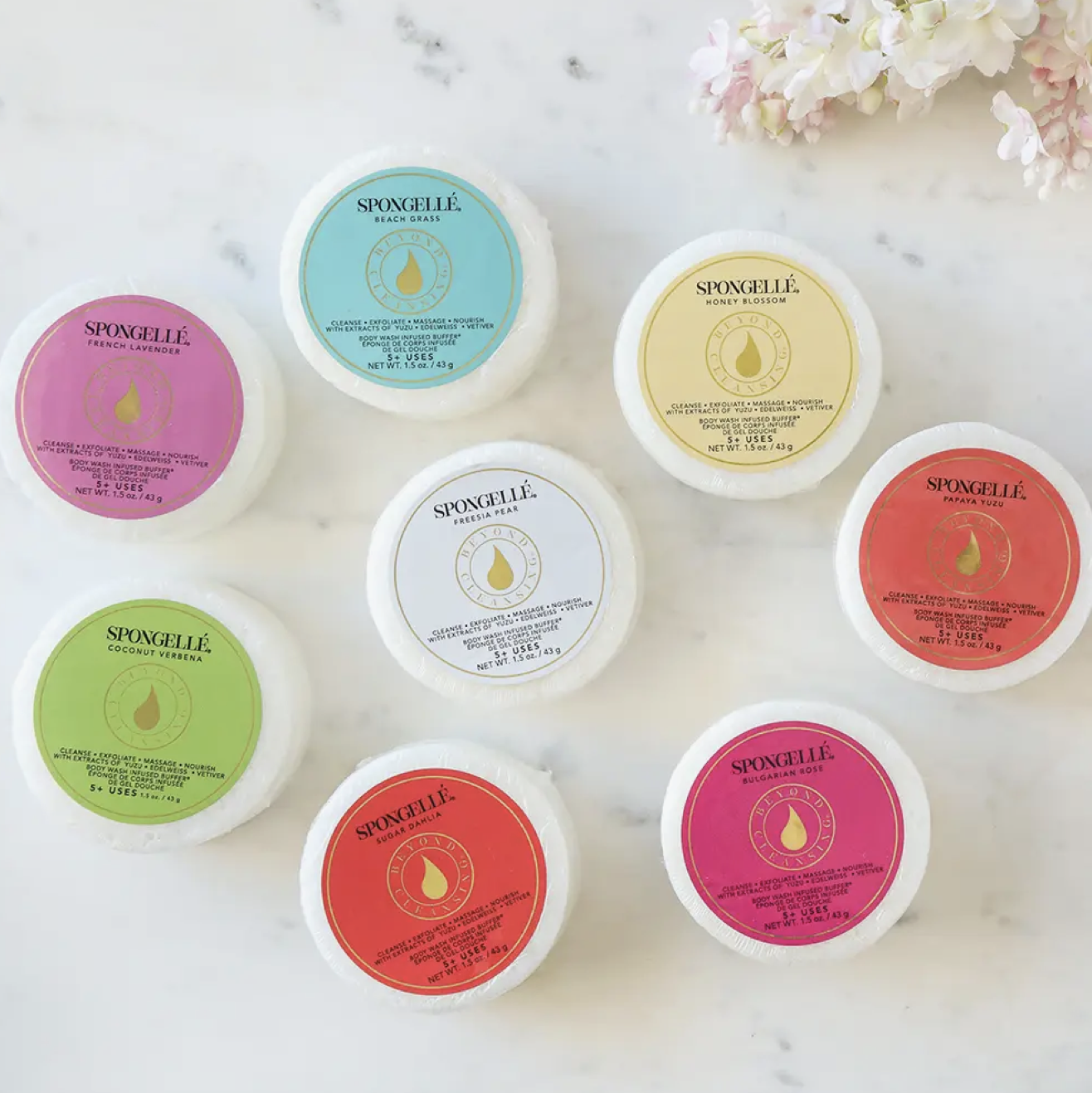 Circle Spongelle- Freesia Pear