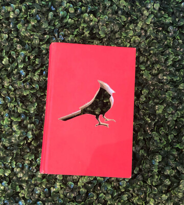 Large cutout decorative book