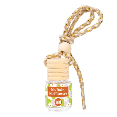 Car Diffuser- No Rain, No Flowers