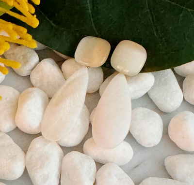 Stone Pearl Drop Earrings