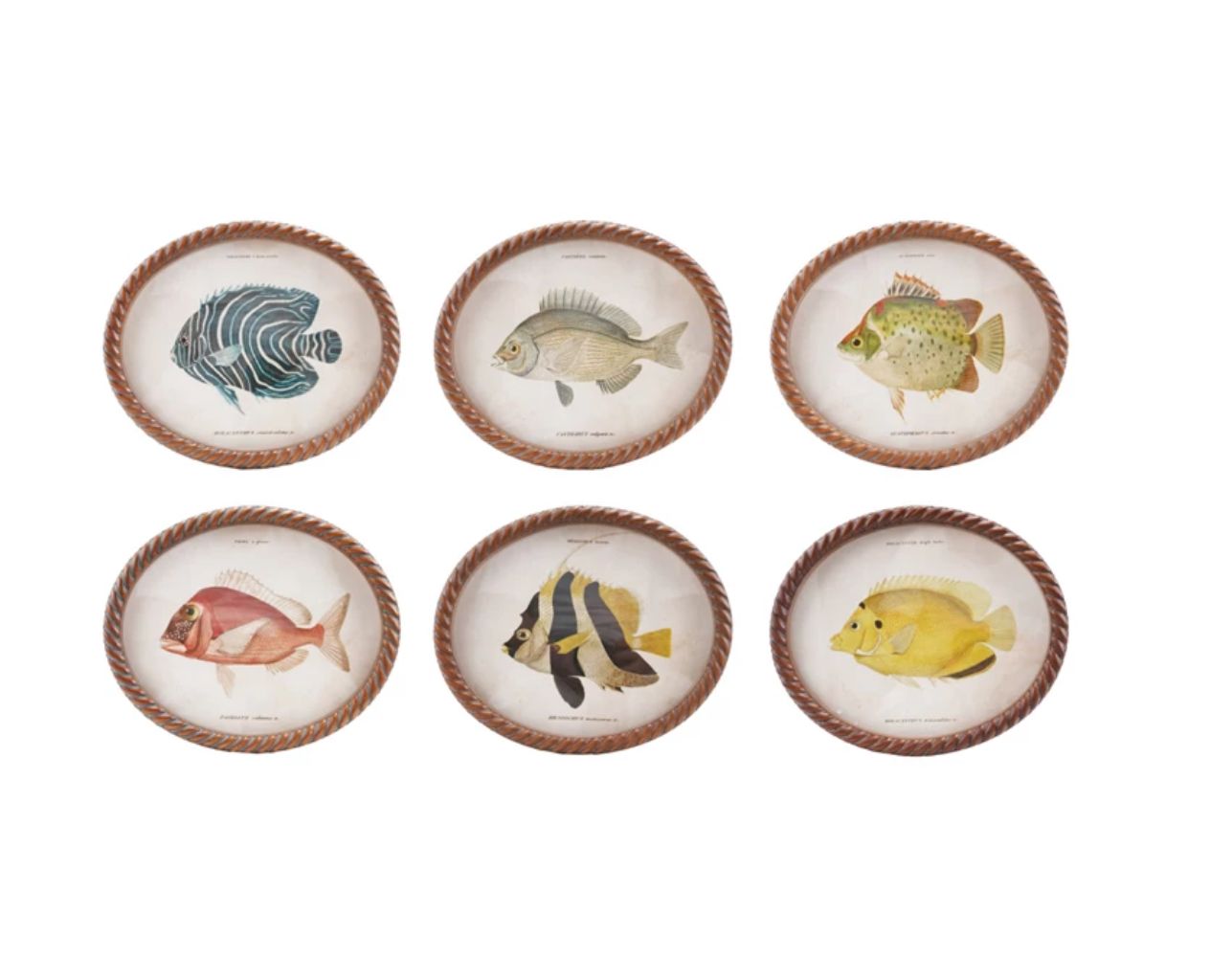 Fish Oval Twist Frame