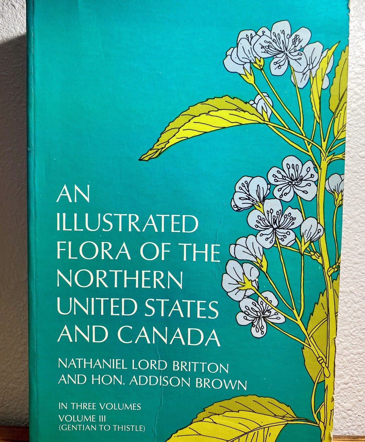 USED Illustrated Flora of the Northern U.S. and Canada Vol. 3