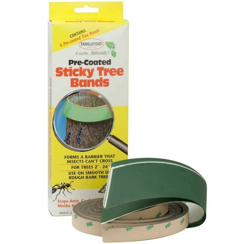 Sticky Tree Bands 6 pcs.