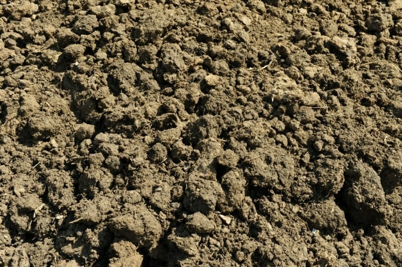 Composted Cow Manure 40 lb Bag