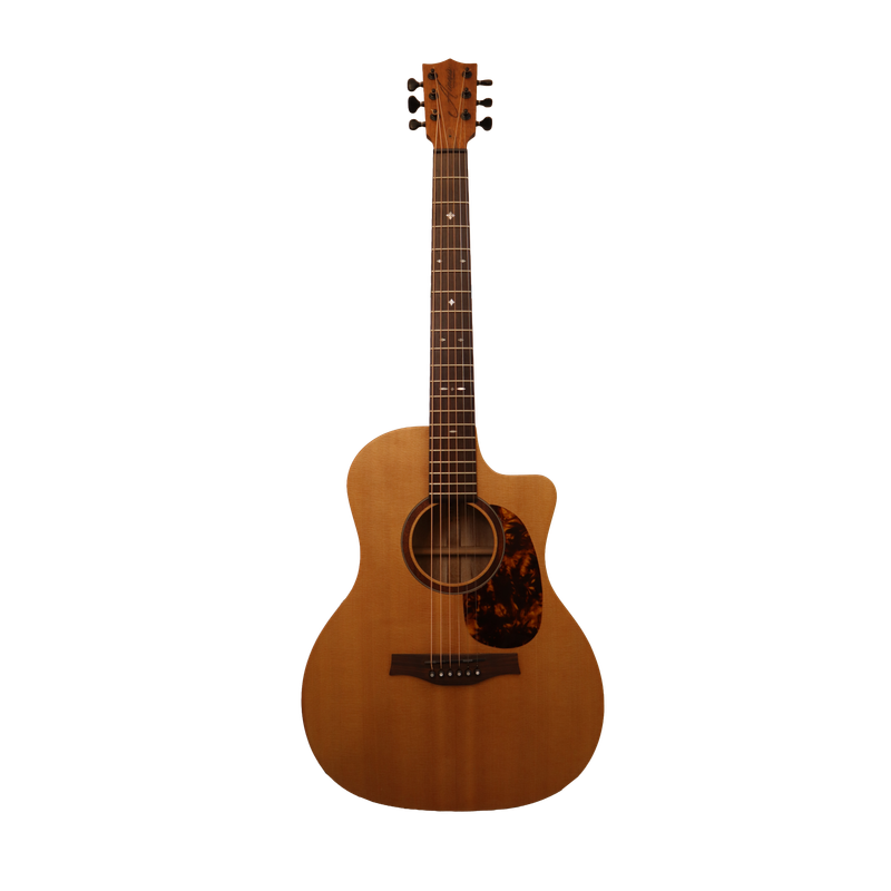 ARCADIA OOO-14CE-S/BL