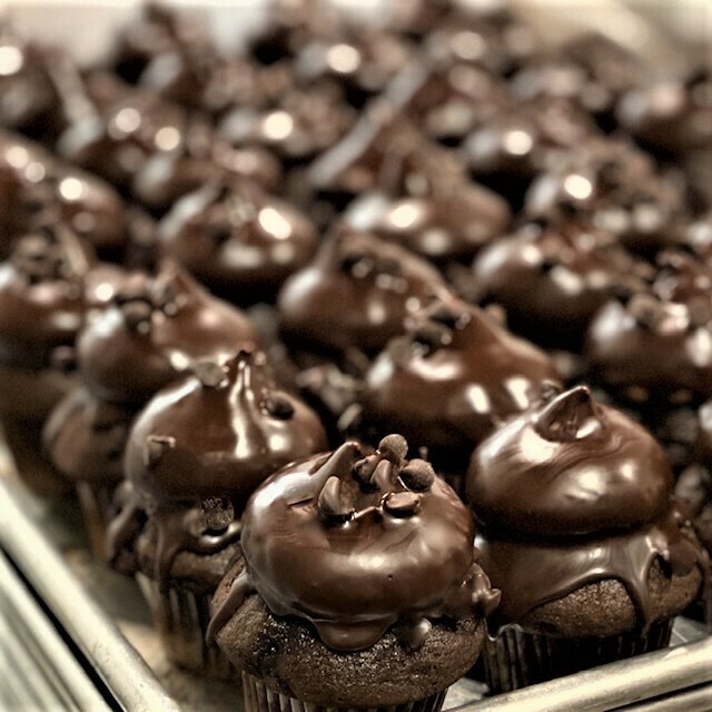 Chocolate Baby Asl at Sandra Rodriguez blog