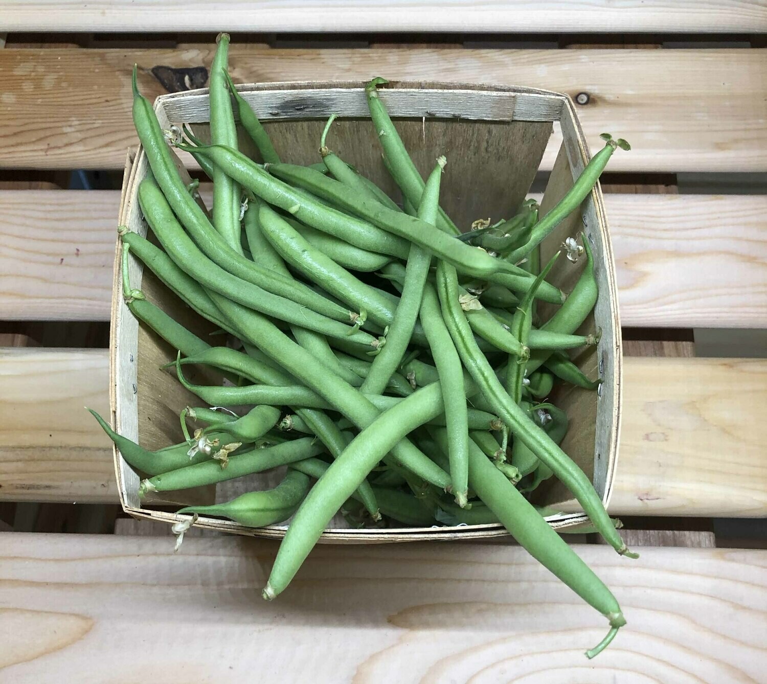 Rendement Haricot Vert Par Hectare En Côte D'ivoire