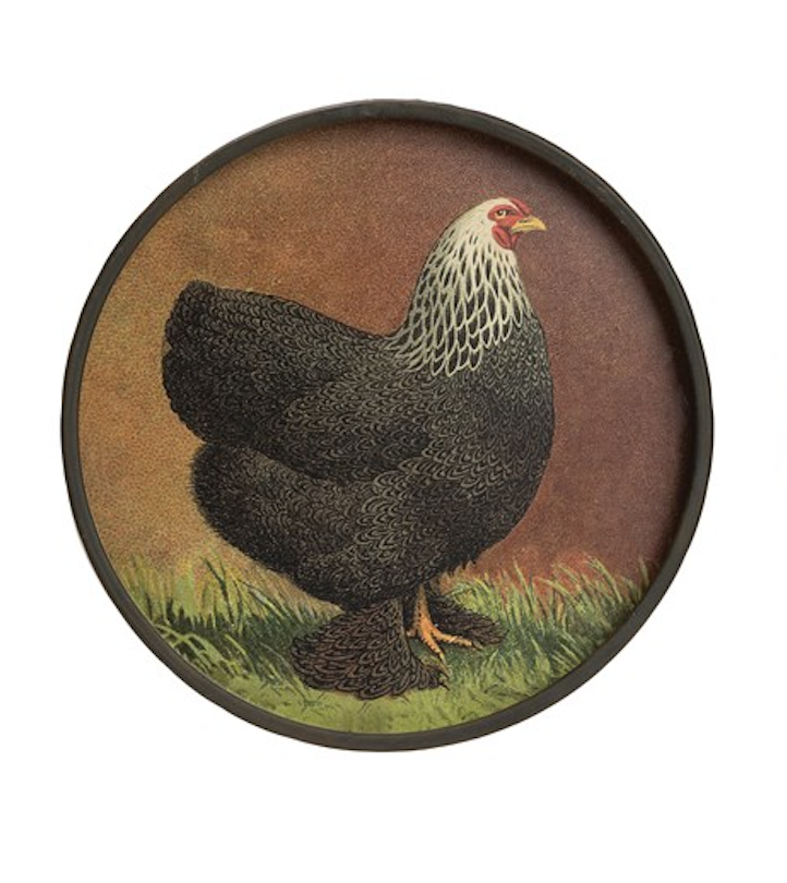 Round metal chicken wall decor black 11 inch