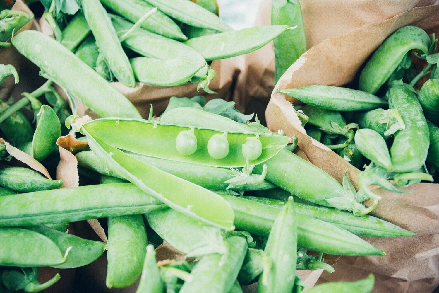 Fresh Peas ( Fresh Peas in a Pod 1kg Bag)