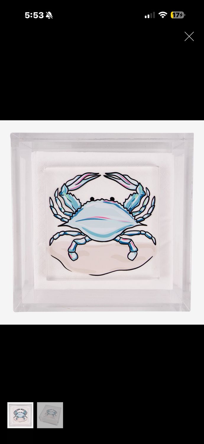 Napkin weight Napkin weight