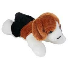 Homer (Beagle) Small