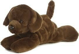 8&quot; LIL&#39; LUCKY