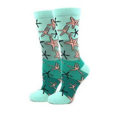 Starfish Socks 
