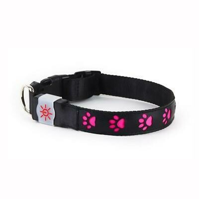 Illuminating Dog Collar USB Rechargeable