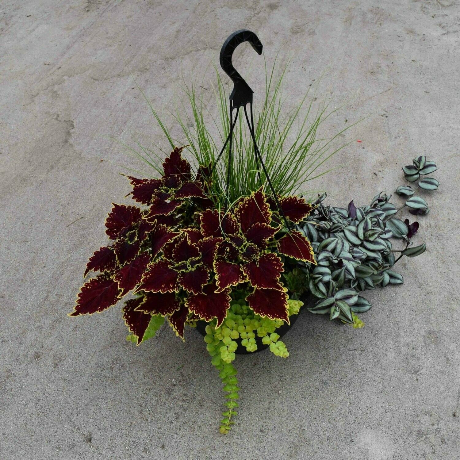 13" Shade Premium Combination Basket