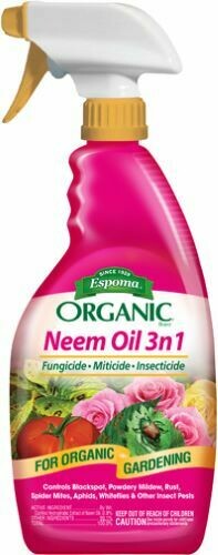 Neem Oil